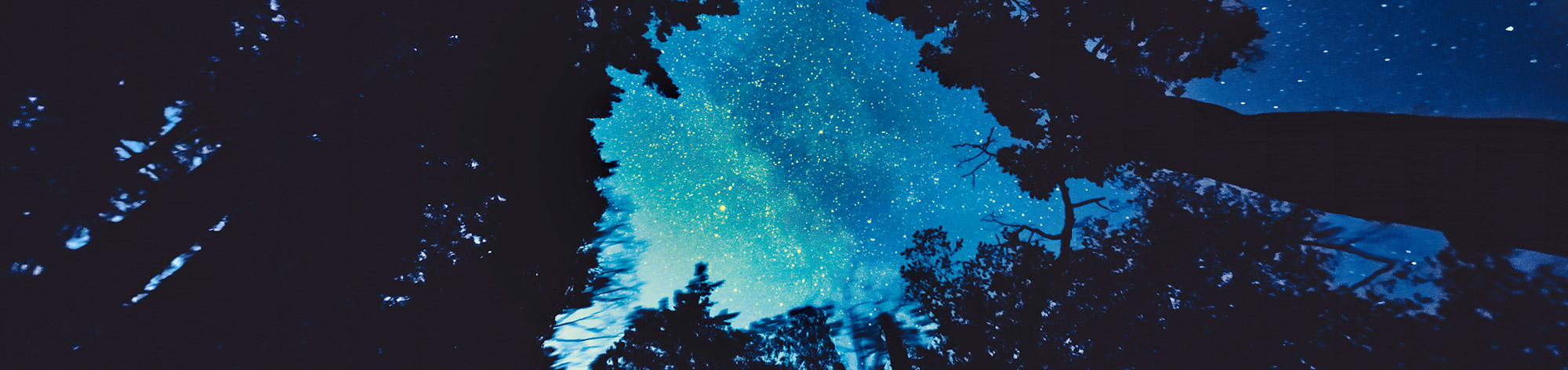 The magical star scapes of the Milky Way over the gorgeous island of Bowen close to the city centre of Vancouver, British Columbia