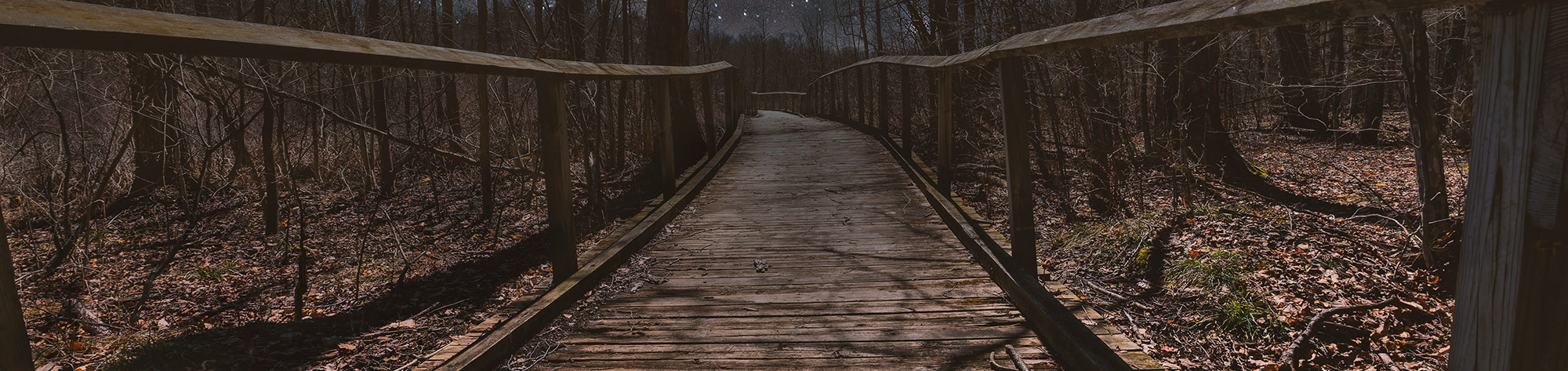 A walking path through nature and at Charleston Lake Provincial Park in Ontario, Canada